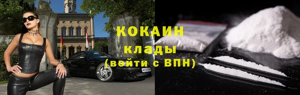бошки Инта