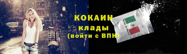 бошки Инта