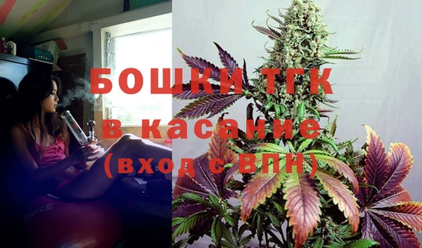ALPHA PVP Инсар