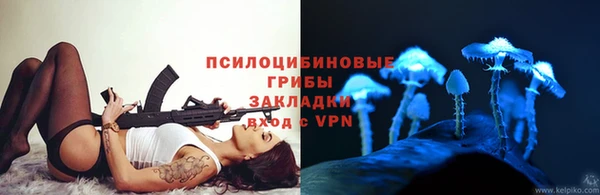 ALPHA PVP Инсар