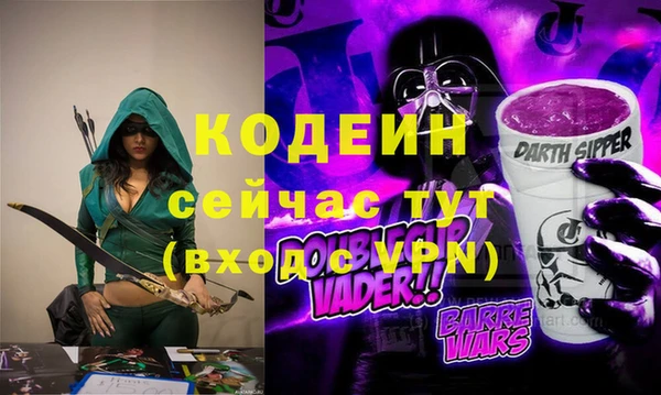 бошки Инта