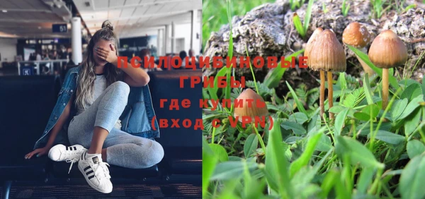 бошки Инта