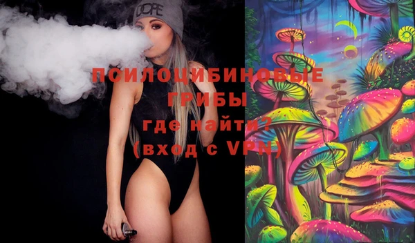 ALPHA PVP Инсар