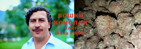 ALPHA PVP Инсар