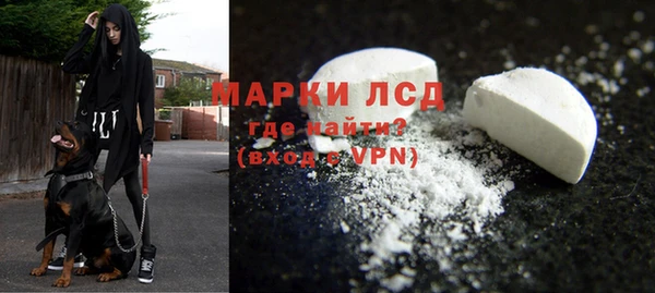 бошки Инта