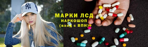 бошки Инта