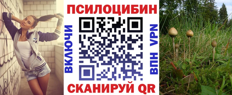 Купить  Гудермес  Галлюциногенные грибы GOLDEN TEACHER 